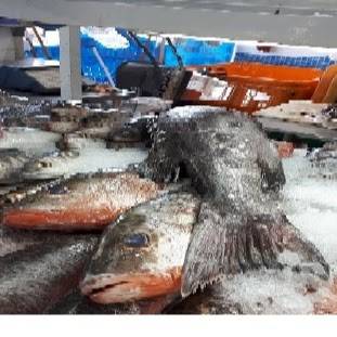 La Perla Mariscos | restaurant | Carretera Tijuana- Ensenada, Blvd. Benito Juárez No. 300, Parcelas, 22710 Rosarito, B.C., Mexico | 016611040023 OR +52 661 104 0023