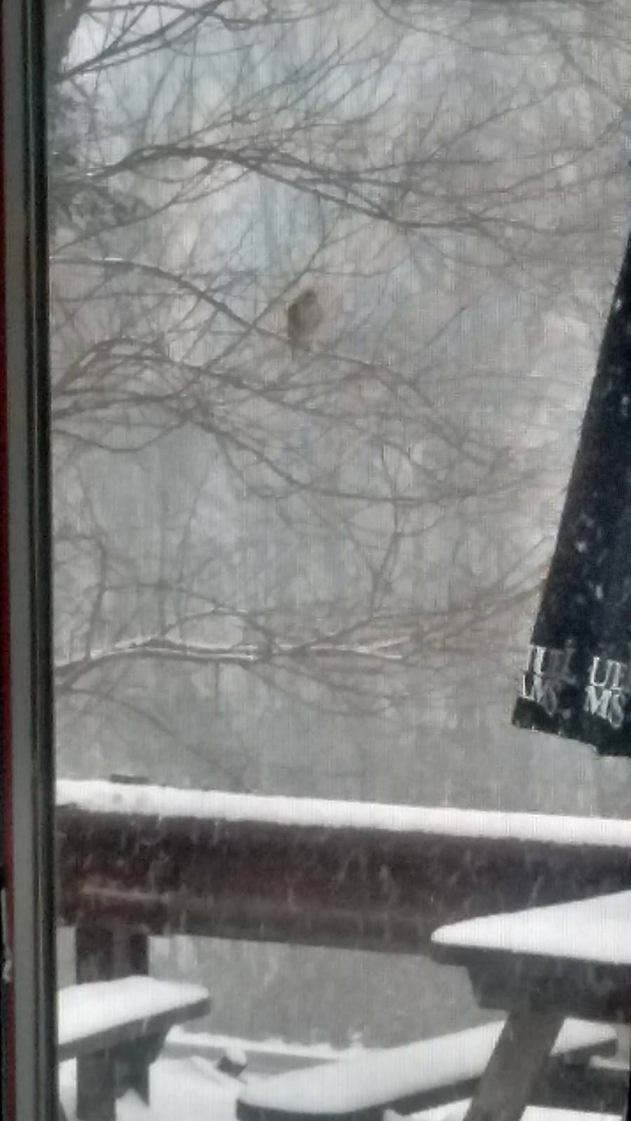 Hilltop BBQ | restaurant | 12 Rae Palmer Rd, Moodus, CT 06469, USA | 8608731234 OR +1 860-873-1234