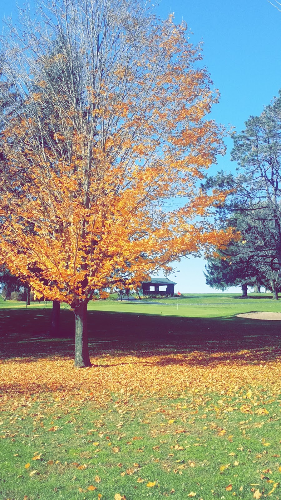 Cole Acres Golf And Supper Club | restaurant | 7617 Co Rd J, Cuba City, WI 53807, USA | 6087442476 OR +1 608-744-2476