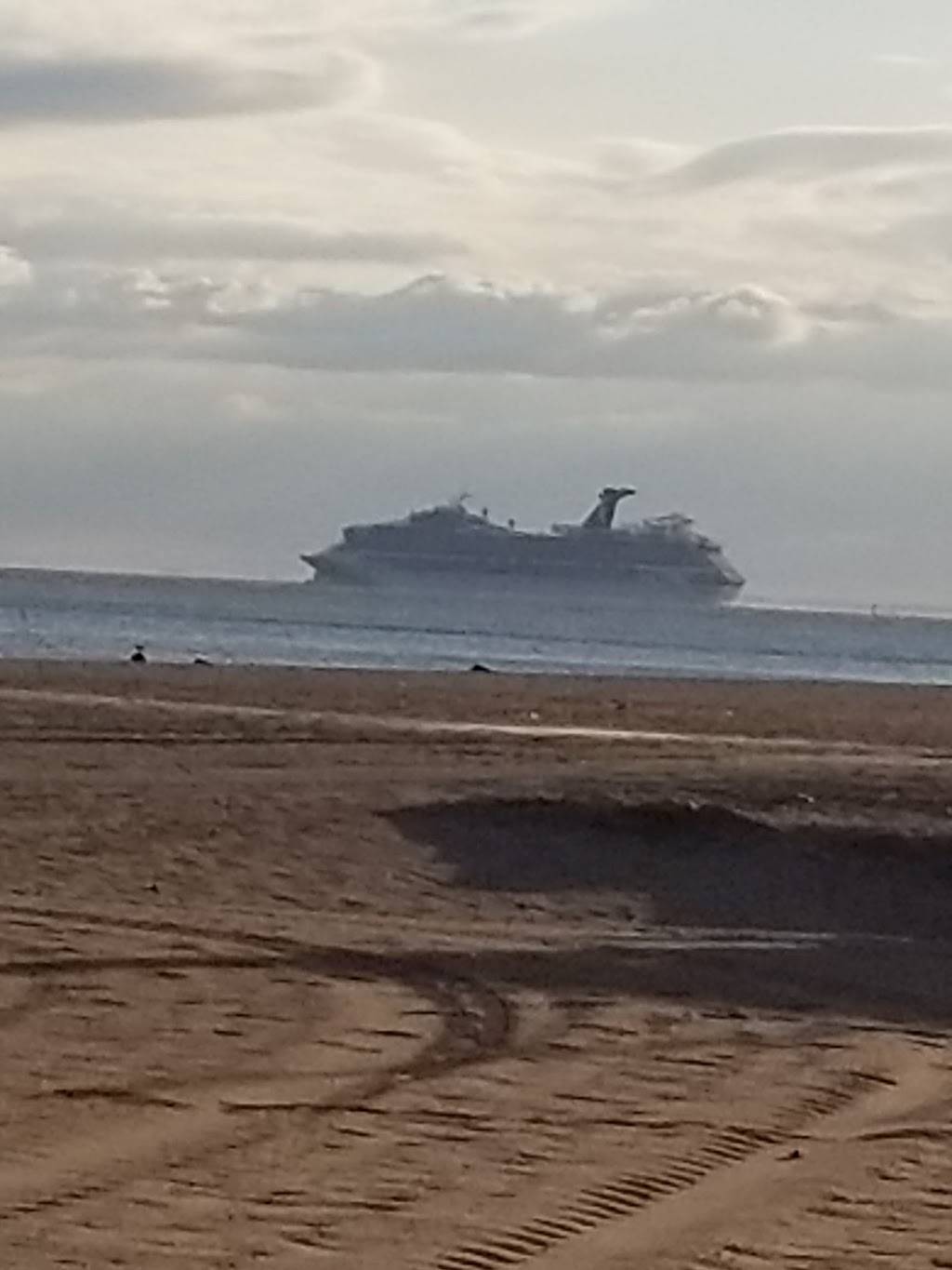 Neighborhood Gourmet Food | meal takeaway | 2909 Surf Ave, Brooklyn, NY 11224, USA | 7182650305 OR +1 718-265-0305