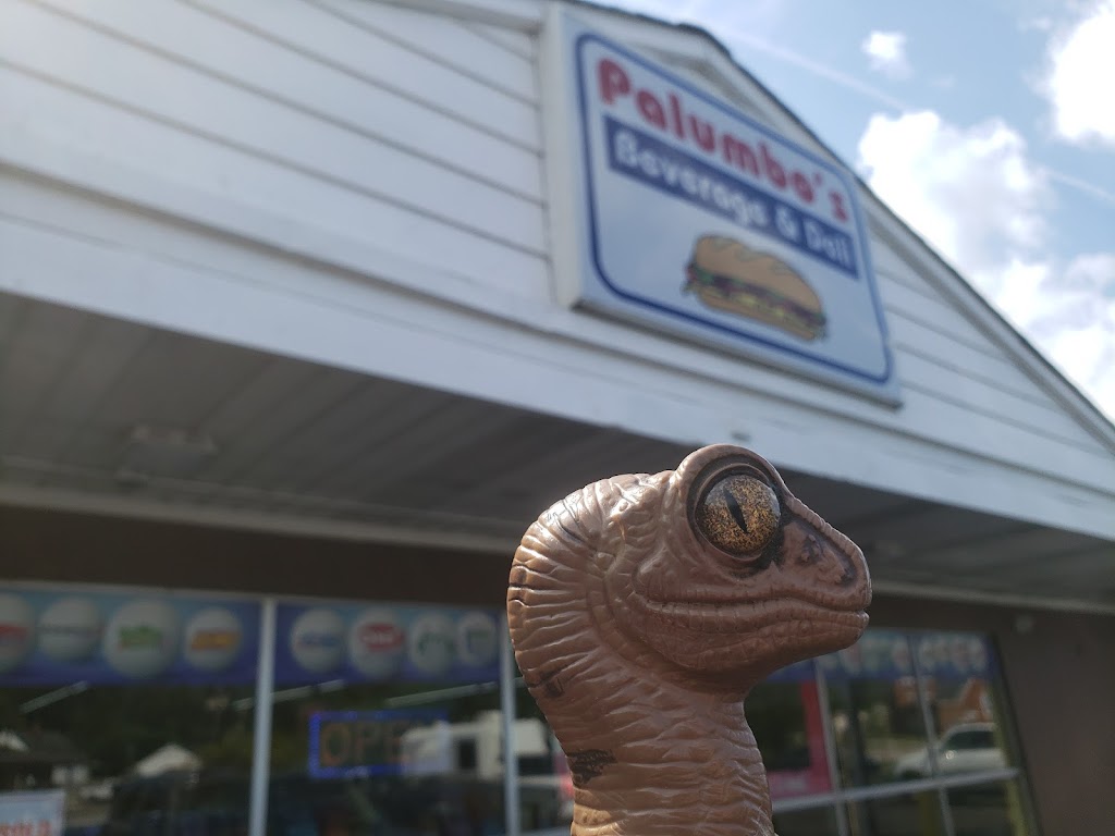 Palumbo’s Beverage and Deli | restaurant | 31606 Vine St, Willowick, OH 44095, USA | 4405375887 OR +1 440-537-5887