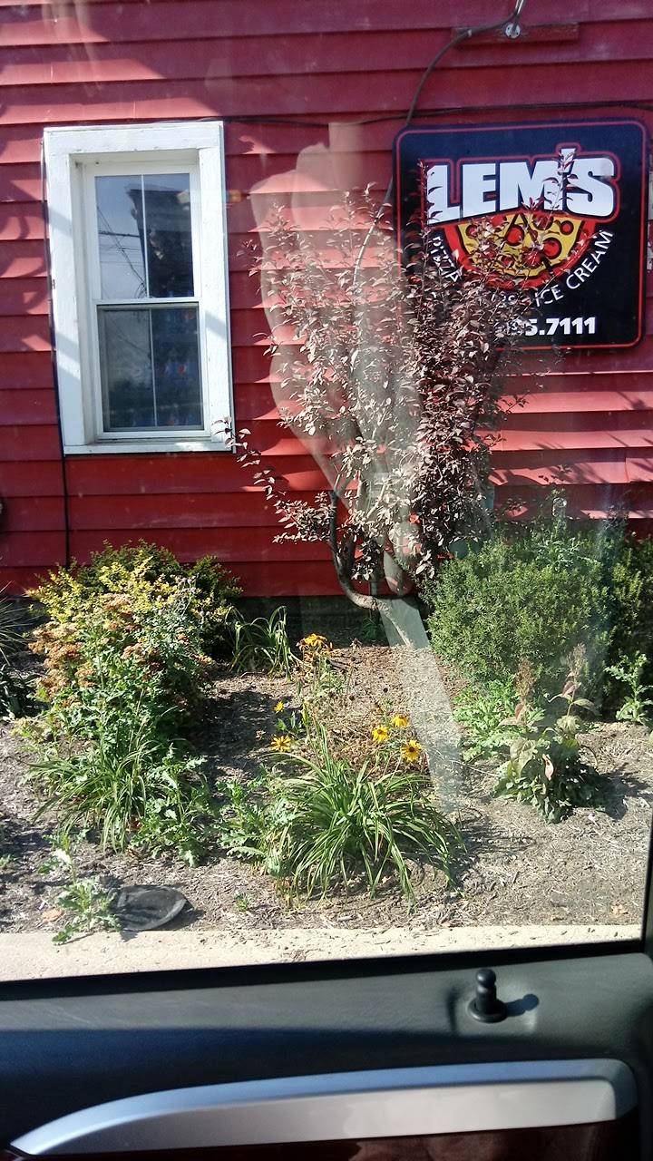 Lems Pizza | restaurant | 110 N Mill St, Fredericksburg, OH 44627, USA | 3306957111 OR +1 330-695-7111