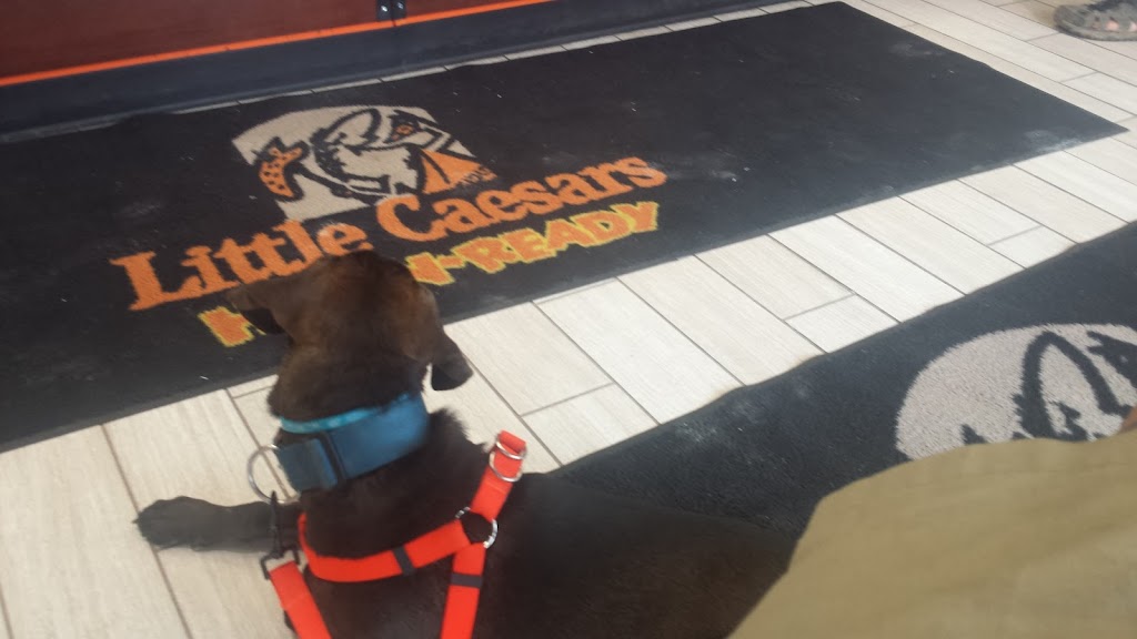 Little Caesars Pizza | meal delivery | 2041 N Mall Dr SUITE D, Alexandria, LA 71303, USA | 3185288908 OR +1 318-528-8908