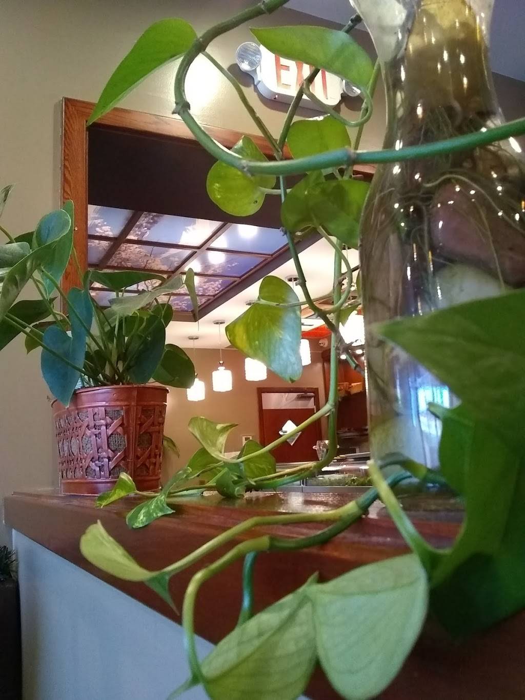 Fusion Kitchen | meal takeaway | 75 Franklin St, Quincy, MA 02169, USA | 6174819830 OR +1 617-481-9830