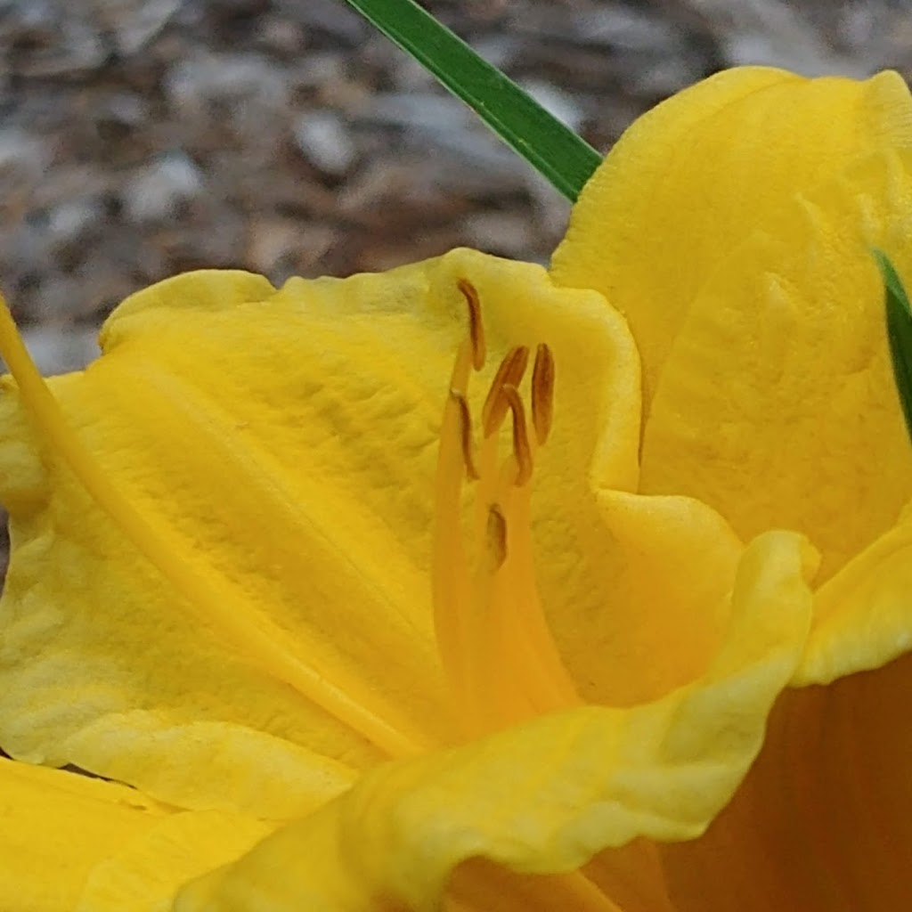 Craigs Bar-B-Que | restaurant | 814 E Page Ave, Malvern, AR 72104, USA | 5013371199 OR +1 501-337-1199