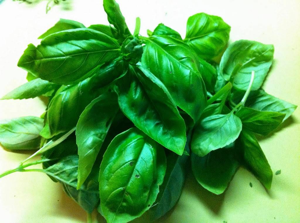 Basil Prosperi | restaurant | 801 Grand Ave, Des Moines, IA 50309, USA | 5152442070 OR +1 515-244-2070