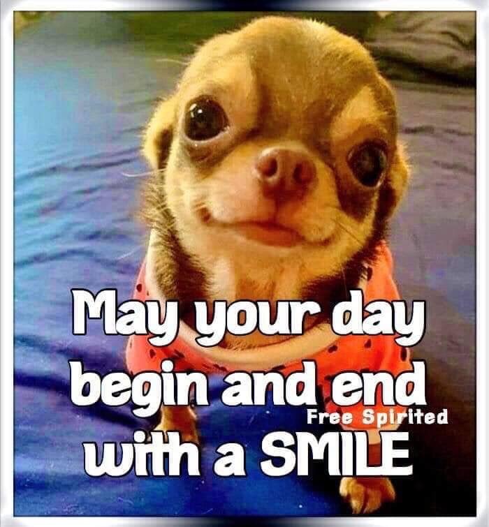 Walnut Hill Grocery Chevron | restaurant | 8605 AL-50, Dadeville, AL 36853, USA | 2563071933 OR +1 256-307-1933