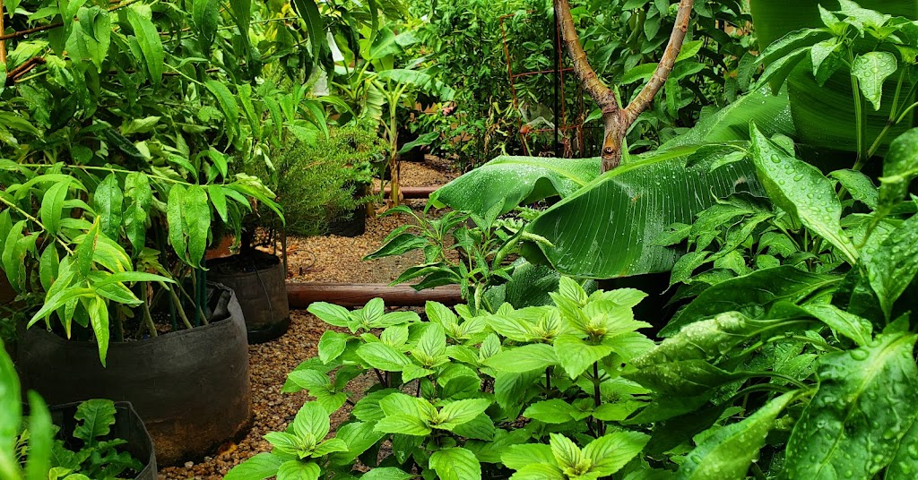 Urban Hills Grow Bag Gardens | restaurant | 557 E Parkview Dr, Gilbert, AZ 85295, USA | 4804867380 OR +1 480-486-7380