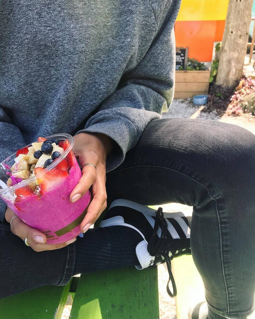 Go Juice | restaurant | 855 Anastasia Blvd, St. Augustine, FL 32080, USA | 3867958423 OR +1 386-795-8423