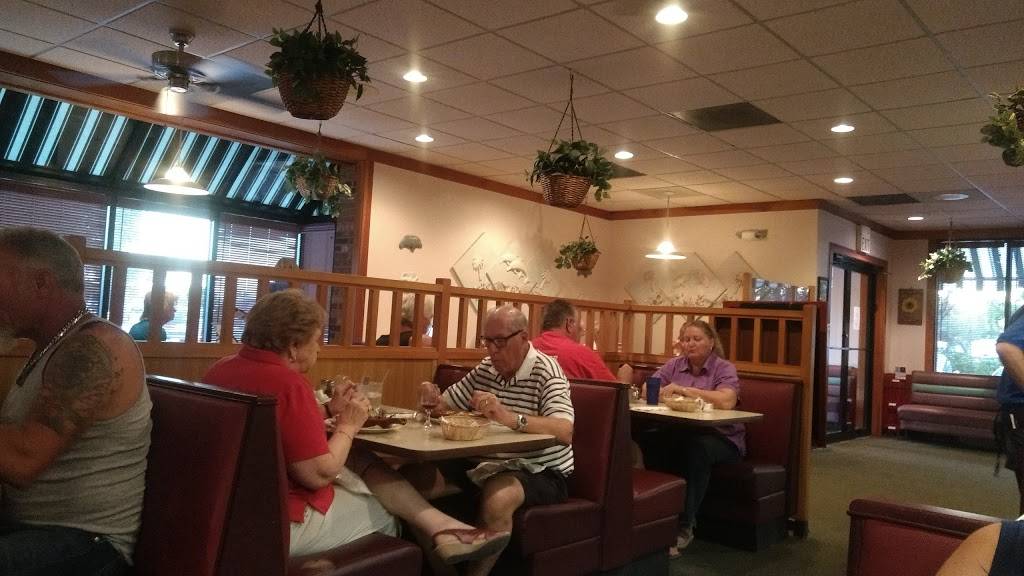 Sunflower Cafe | cafe | 11370 Summerlin Square Dr, Fort Myers Beach, FL 33931, USA | 2394154262 OR +1 239-415-4262