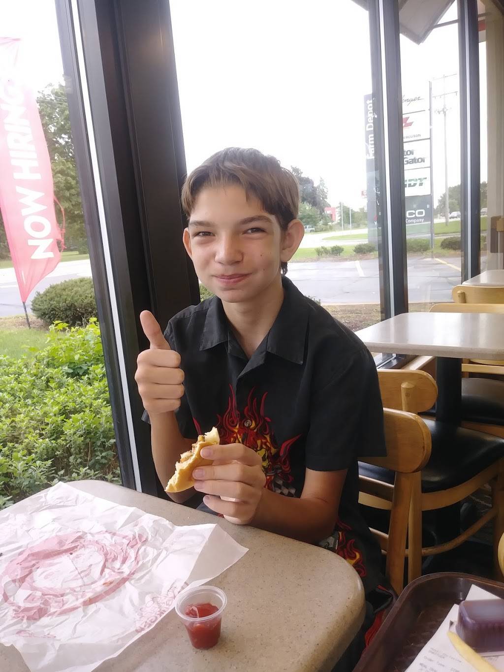 Wendys | restaurant | 2620 State St. South, Ionia, MI 48846, USA | 6165272611 OR +1 616-527-2611