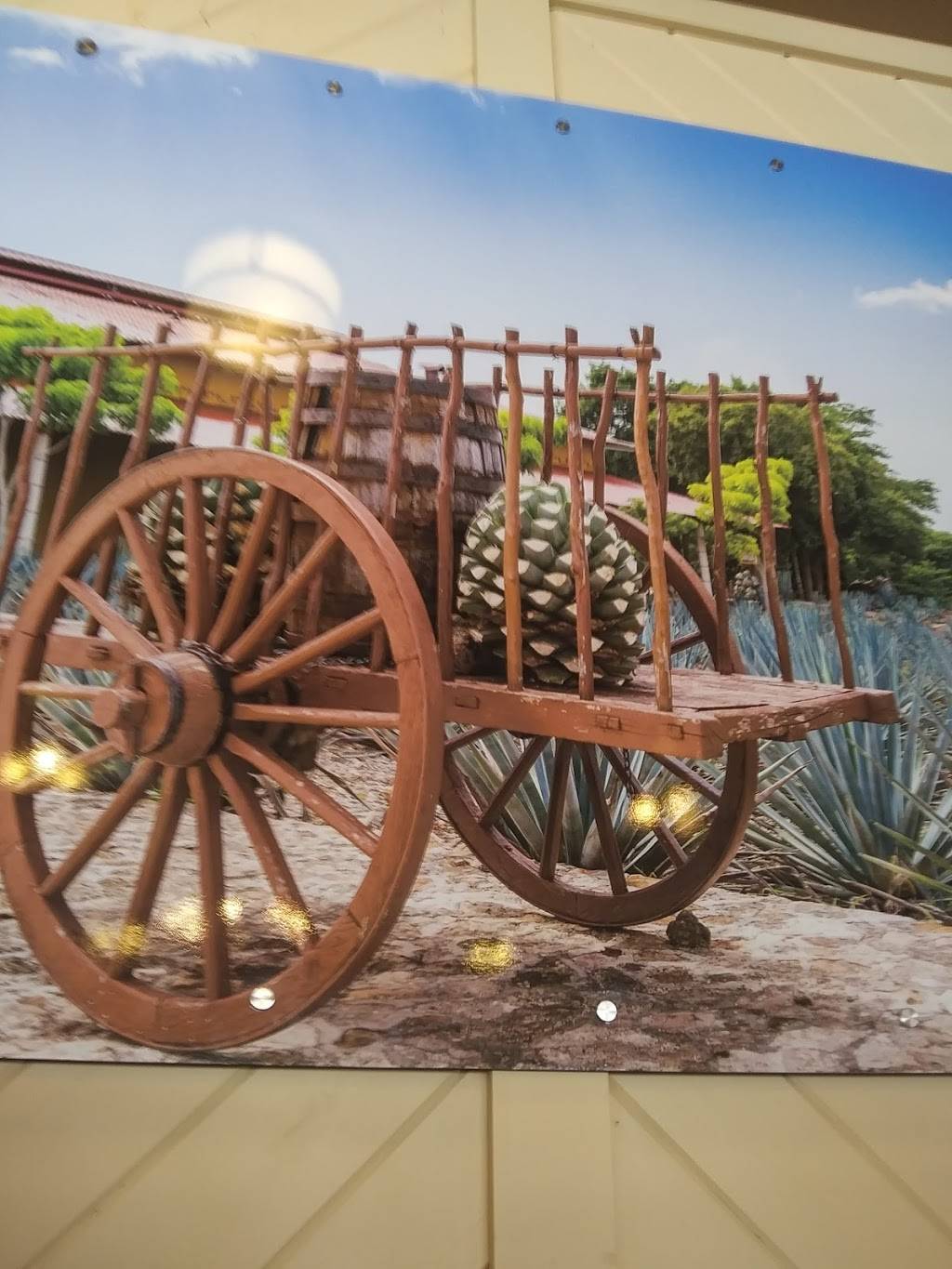 Azul Tequila | restaurant | 601 Ridgewood, Bunnell, FL 32110, USA | 3864370700 OR +1 386-437-0700