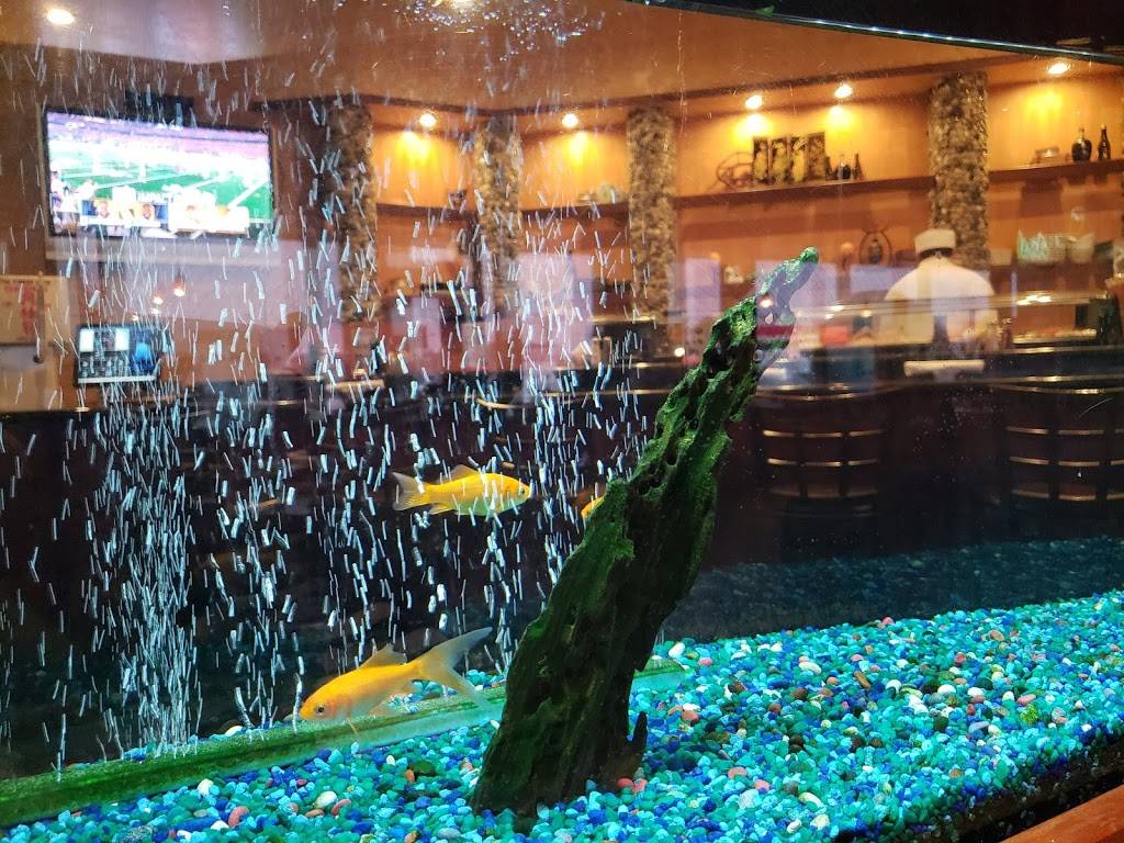 Shogun | restaurant | 5941 Farm to Market 2920, Spring, TX 77388, USA | 2812880996 OR +1 281-288-0996