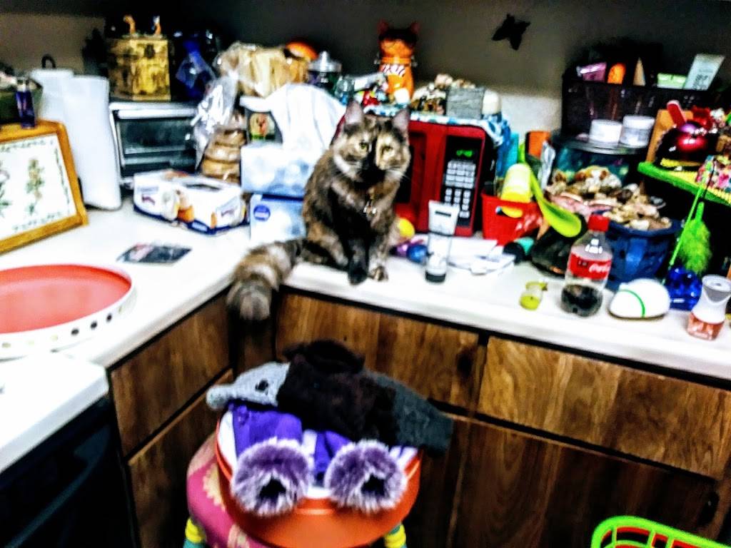 Jimboys Tacos | restaurant | 5874 Antelope Road # 400 # 400, Sacramento, CA 95842, USA | 9167267528 OR +1 916-726-7528