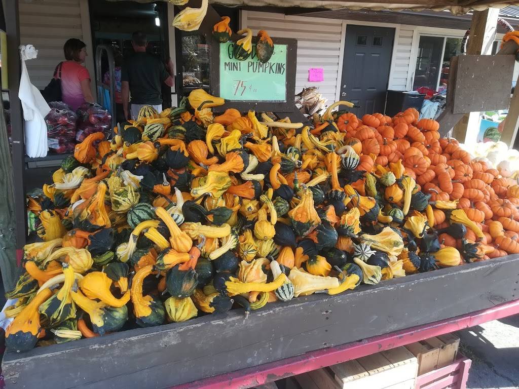 Hershbergers Farm and Bakery | bakery | 5452 OH-557, Millersburg, OH 44654, USA | 3306746096 OR +1 330-674-6096