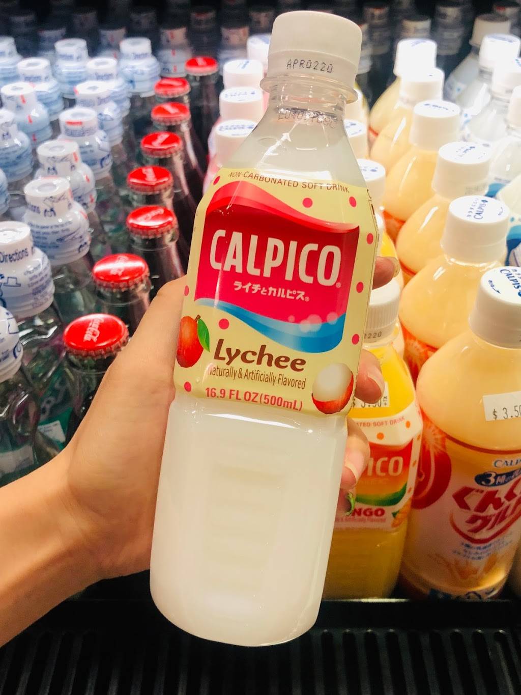 Poke Hale | restaurant | 1207 W Dundee Rd, Buffalo Grove, IL 60089, USA | 8477494497 OR +1 847-749-4497