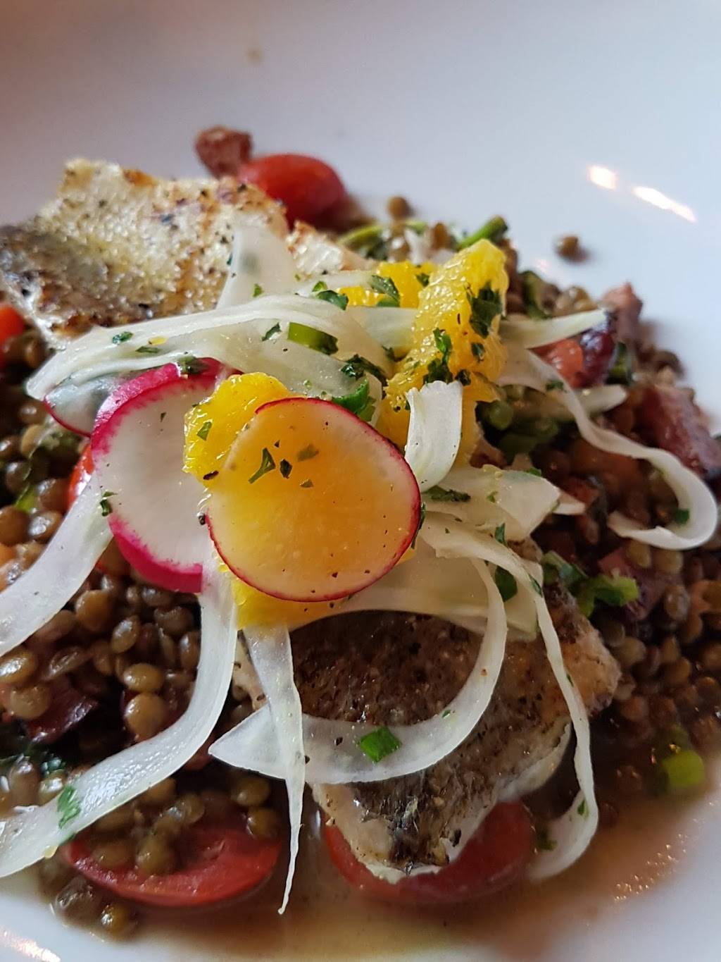 Fork and Cork Grill | restaurant | 1458 Weber St E, Kitchener, ON N2A 2Y5, Canada | 5192080606 OR +1 519-208-0606