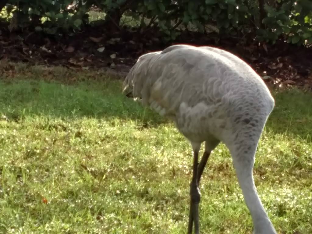 Starbucks | cafe | 890 Saxon Blvd Suite 100, Orange City, FL 32763, USA | 3864144736 OR +1 386-414-4736