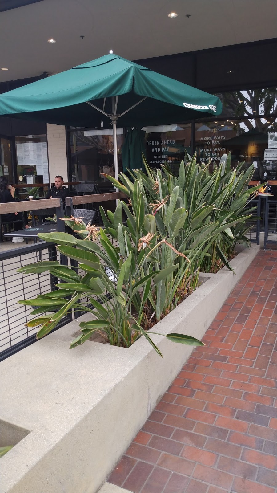 Starbucks | cafe | 5757 Wilshire Blvd #106, Los Angeles, CA 90036, USA | 3239311013 OR +1 323-931-1013