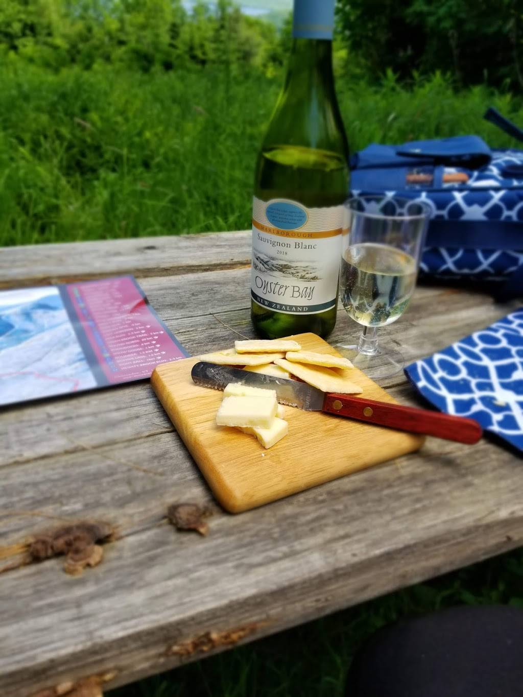 Mountain Top Inn & Resort | restaurant | 95 Mountain Top Rd, Chittenden, VT 05737, USA | 8024832311 OR +1 802-483-2311