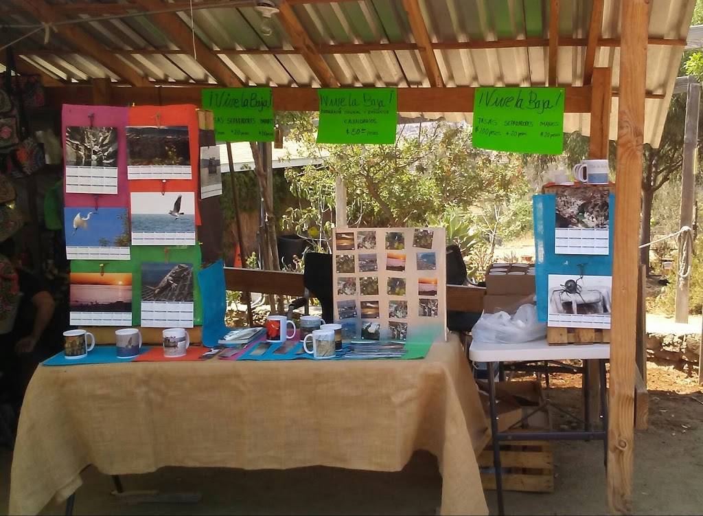 Ochentos Pizza | restaurant | Rancho Cimarrón sin número, 22766 Villa de Juárez, B.C., Mexico | 016461300651 OR +52 646 130 0651