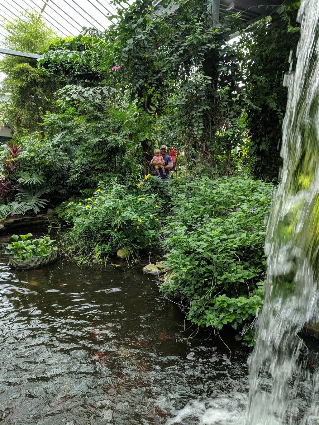 Cambridge Butterfly Conservatory | restaurant | 2500 Kossuth Rd, Cambridge, ON N3H 4R7, Canada | 5196531234 OR +1 519-653-1234