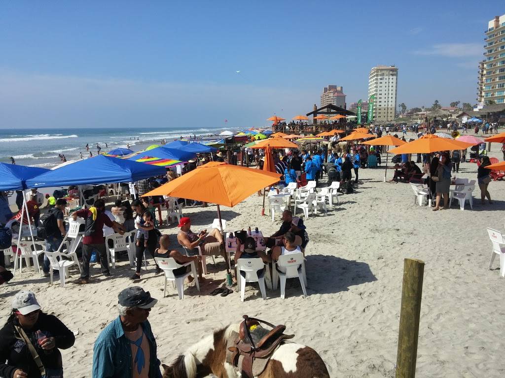 Papas & Beer | night club | Coronado 400, Playas Rosarito, 22710 Rosarito, B.C., Mexico | 6197999491 OR +1 619-799-9491