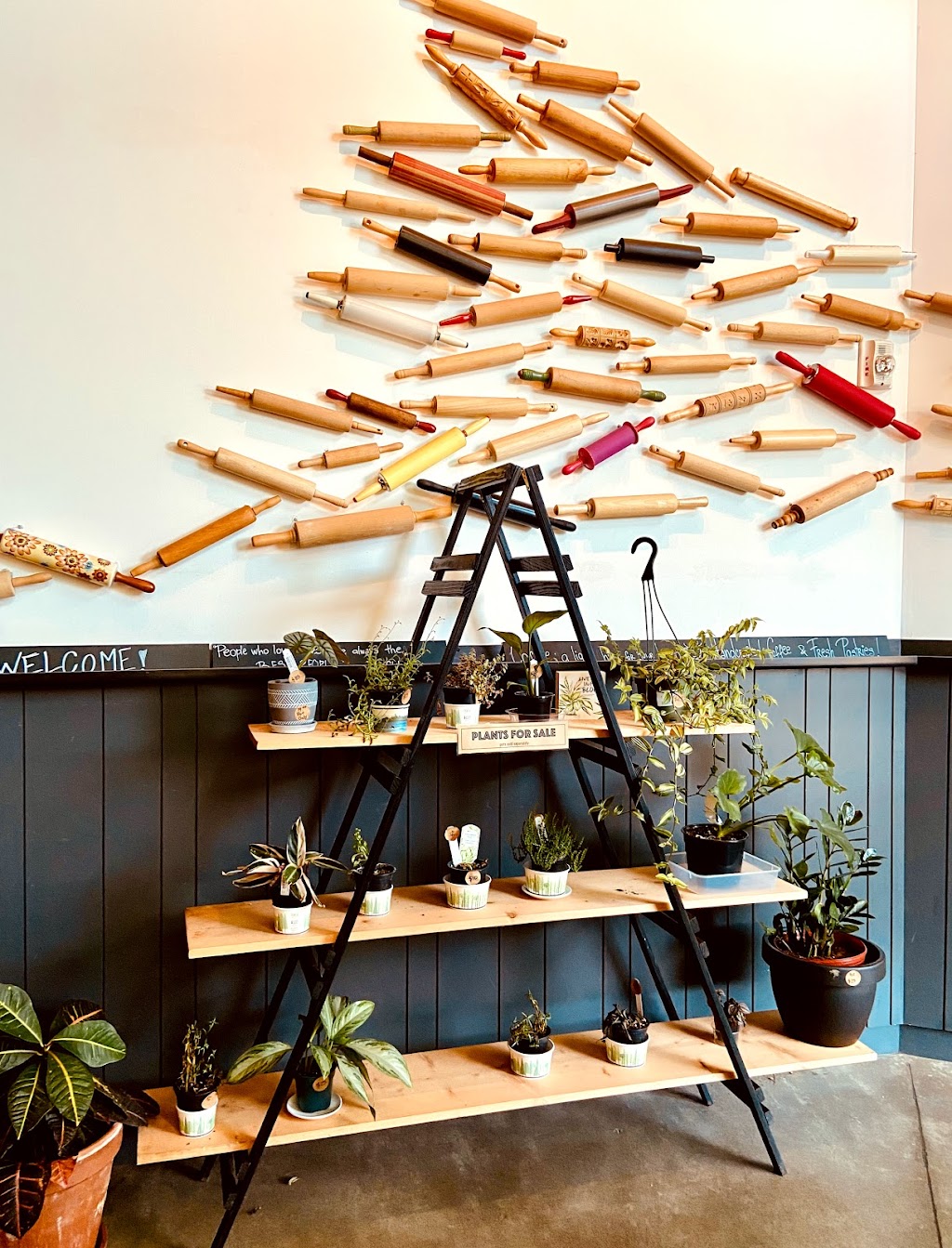 Sugar Bakery & Coffeehouse | bakery | 110 Republican St, Seattle, WA 98109, USA | 2066952518 OR +1 206-695-2518