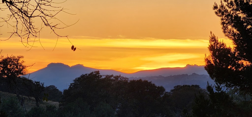 Bella Verdi at Rancho Solano | restaurant | 3250 Rancho Solano Pkwy, Fairfield, CA 94534, USA | 7074341160 OR +1 707-434-1160