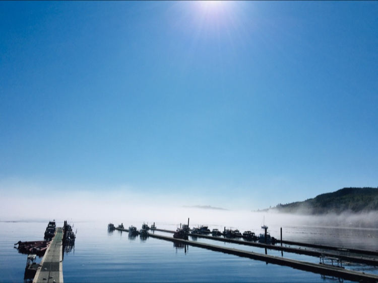 By the Bay Cafe | restaurant | 343 Front St, Sekiu, WA 98381, USA | 3609632998 OR +1 360-963-2998