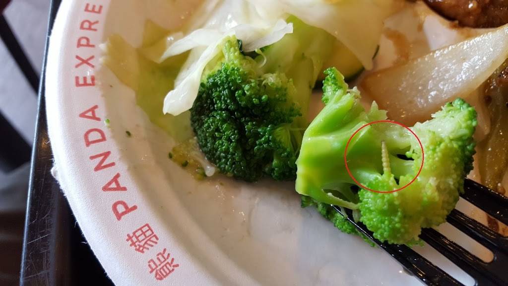 Panda Express | meal takeaway | 507 S Plano Rd, Richardson, TX 75081, USA | 9722348118 OR +1 972-234-8118