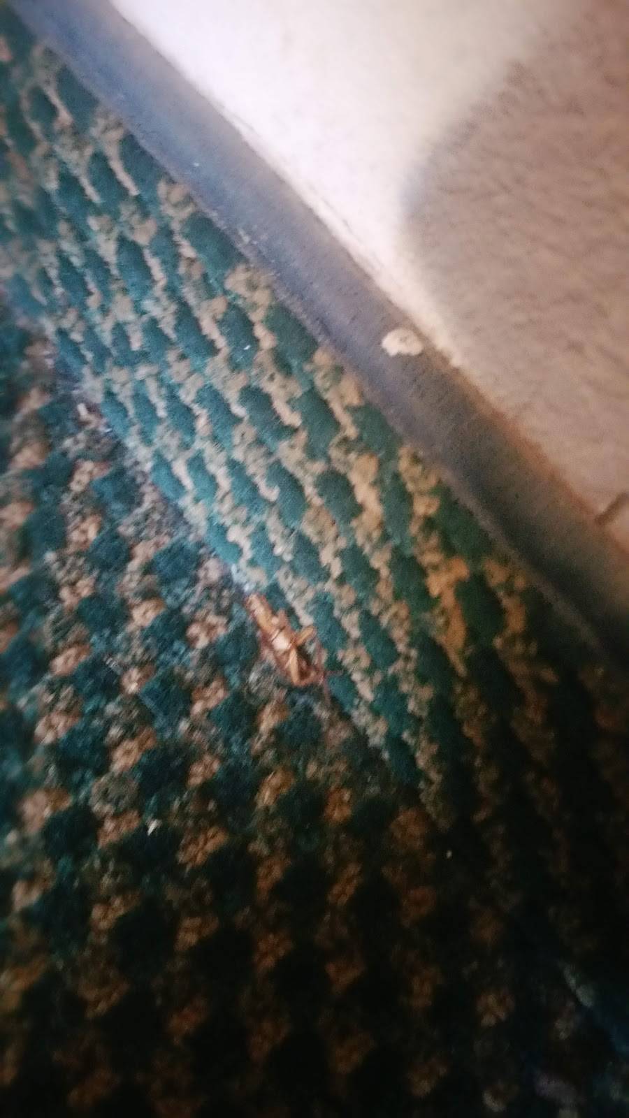 downtownR | restaurant | 475 N Granada Ave #8213, Tucson, AZ 85701, USA | 5206223000 OR +1 520-622-3000