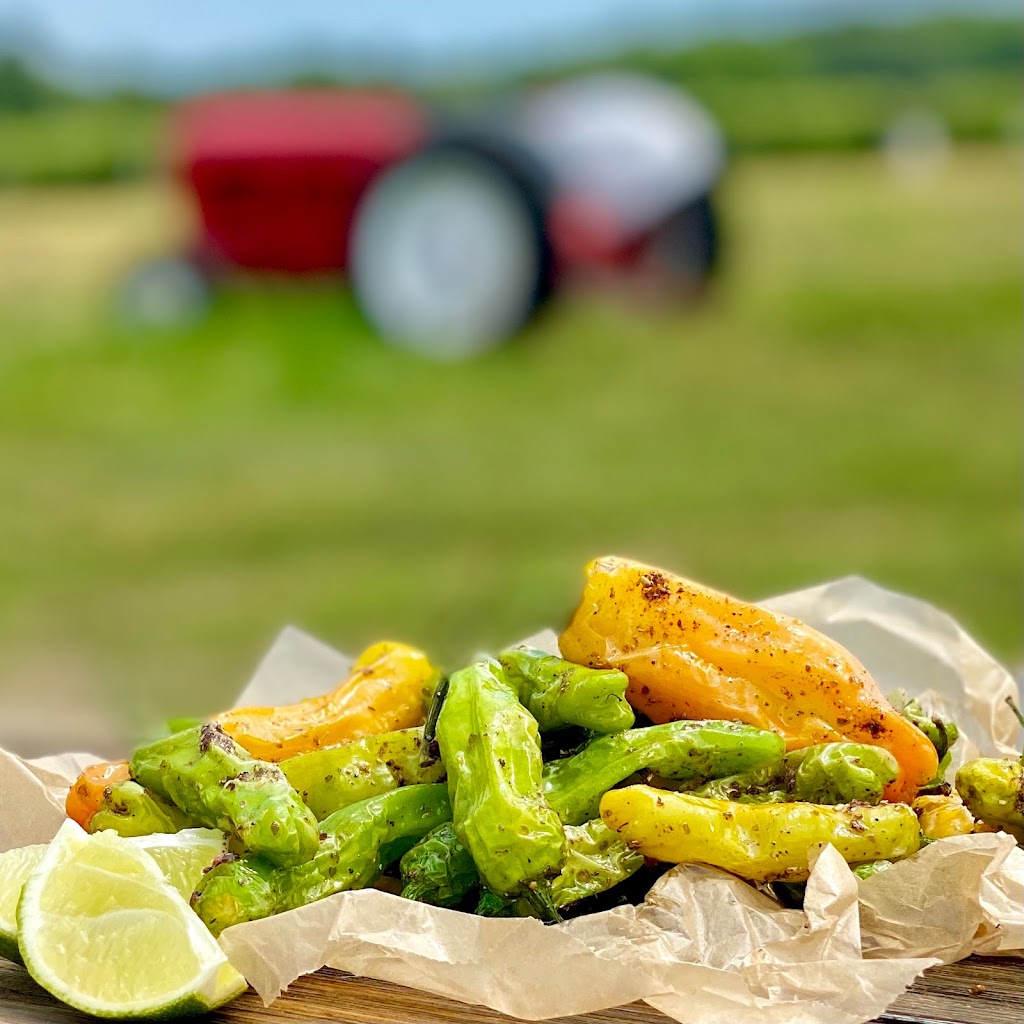The Lookout Outdoor Dining at Lookout Farm | restaurant | 89 Pleasant St S, Natick, MA 01760, USA | 5087453697 OR +1 508-745-3697