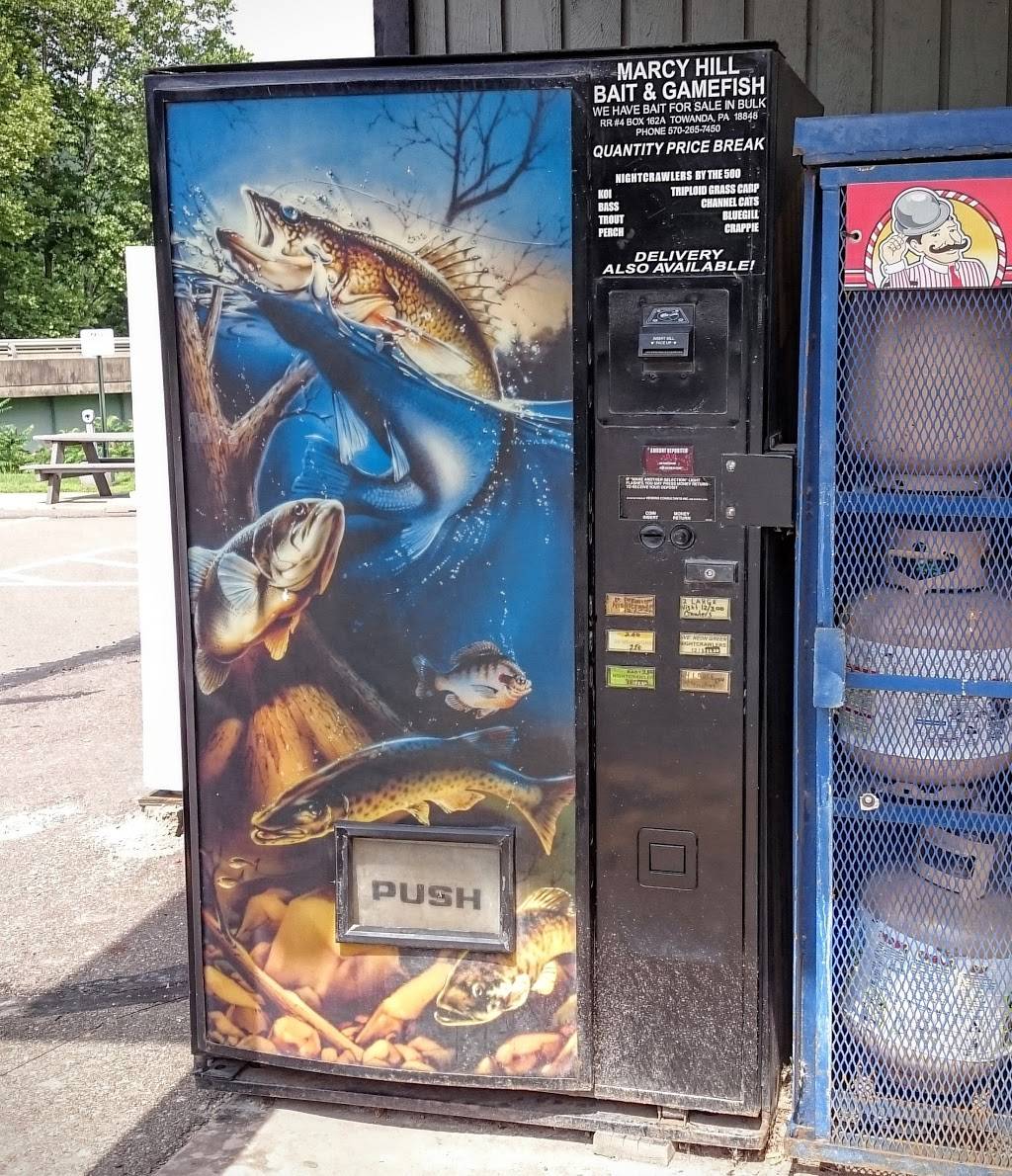 Dandy Mini Mart | meal takeaway | 4816 PA-87, Mehoopany, PA 18629, USA | 5708335000 OR +1 570-833-5000