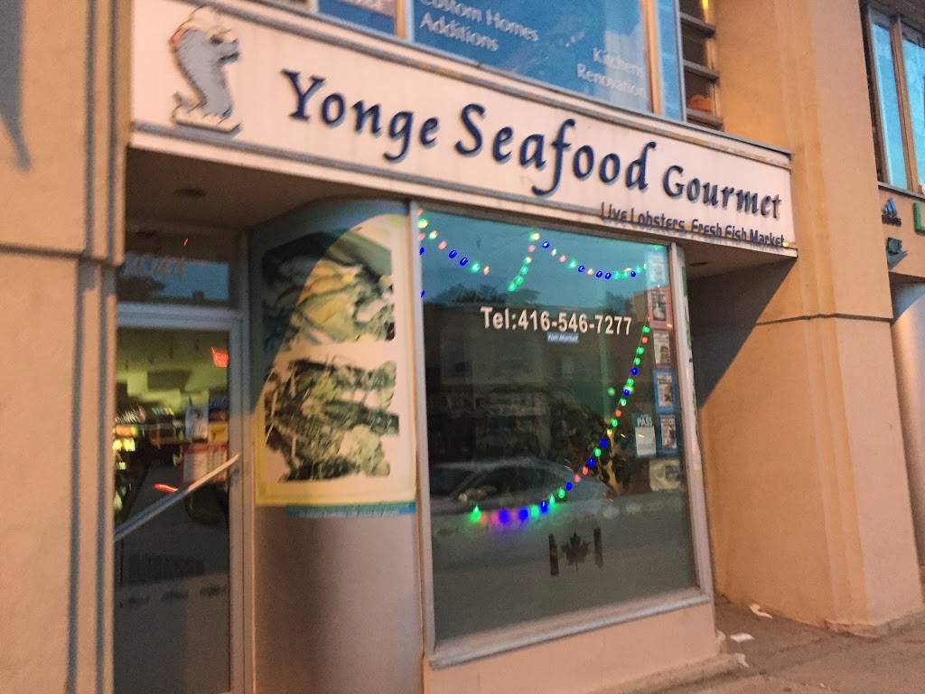 Yonge Seafood Gourmet | restaurant | 2044 Yonge St, Toronto, ON M4S 1Z9, Canada | 4165467277 OR +1 416-546-7277