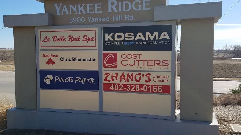 Zhangs Cuisine | restaurant | 3900 Yankee Hill Rd #123, Lincoln, NE 68516, USA | 4023280166 OR +1 402-328-0166