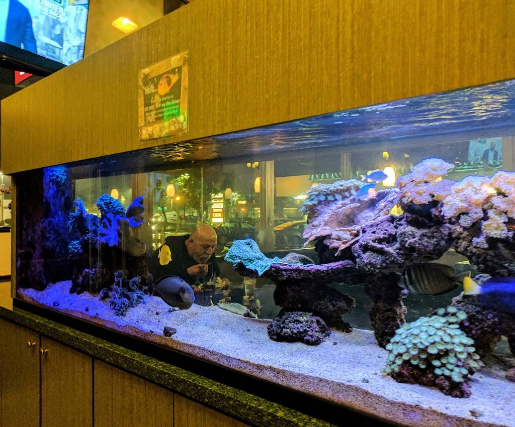 Pho Point Loma & Grill | restaurant | 2788 Midway Dr, San Diego, CA 92110, USA | 6192266502 OR +1 619-226-6502