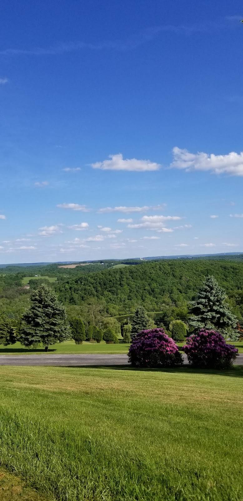 Lemon Drop Lounge | restaurant | 260 Clubhouse Ln, Ebensburg, PA 15931, USA | 8143448749 OR +1 814-344-8749