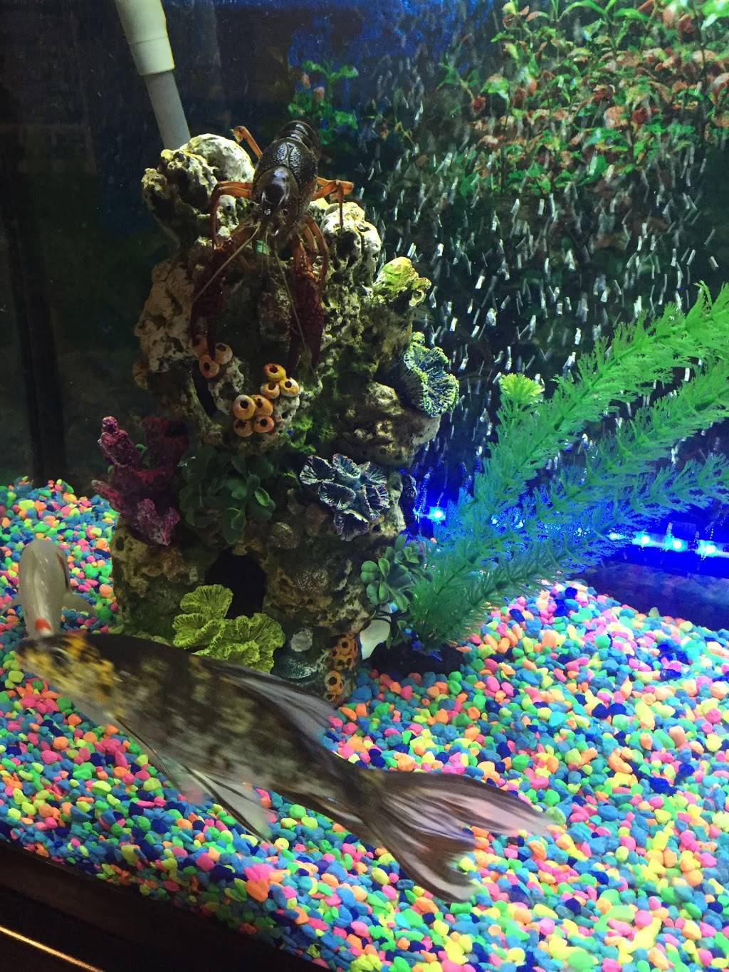 Shangrila | restaurant | 2727 Goliad Rd, San Antonio, TX 78223, USA | 2103377168 OR +1 210-337-7168