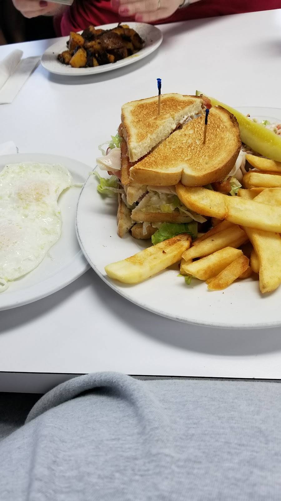 New York Diner | meal takeaway | 2126 Jelane Dr, Valrico, FL 33594, USA | 8136544300 OR +1 813-654-4300