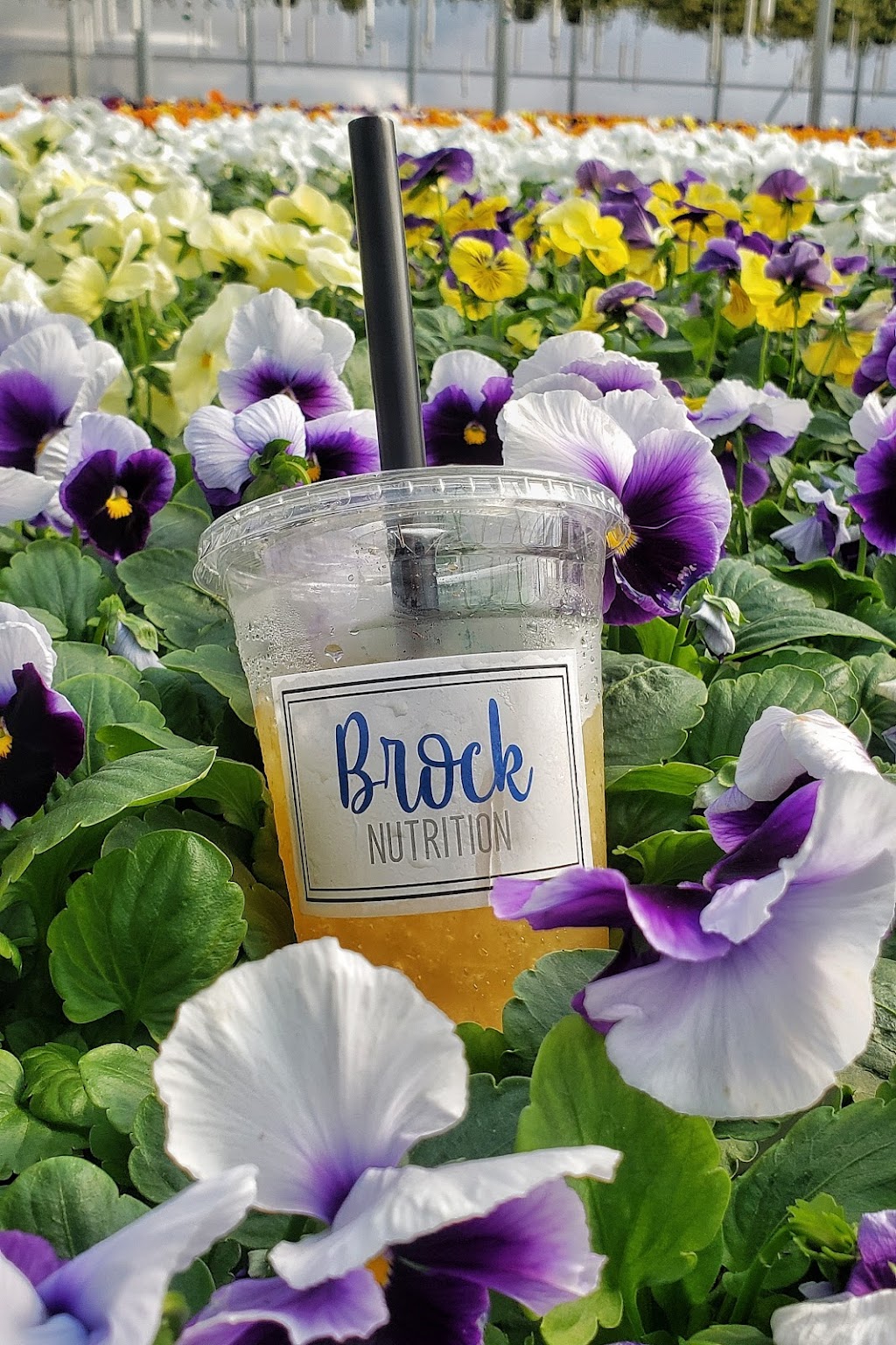 Brock Nutrition | restaurant | 1130 FM1189, Ste 110, Millsap, TX 76066, USA | 6822295821 OR +1 682-229-5821