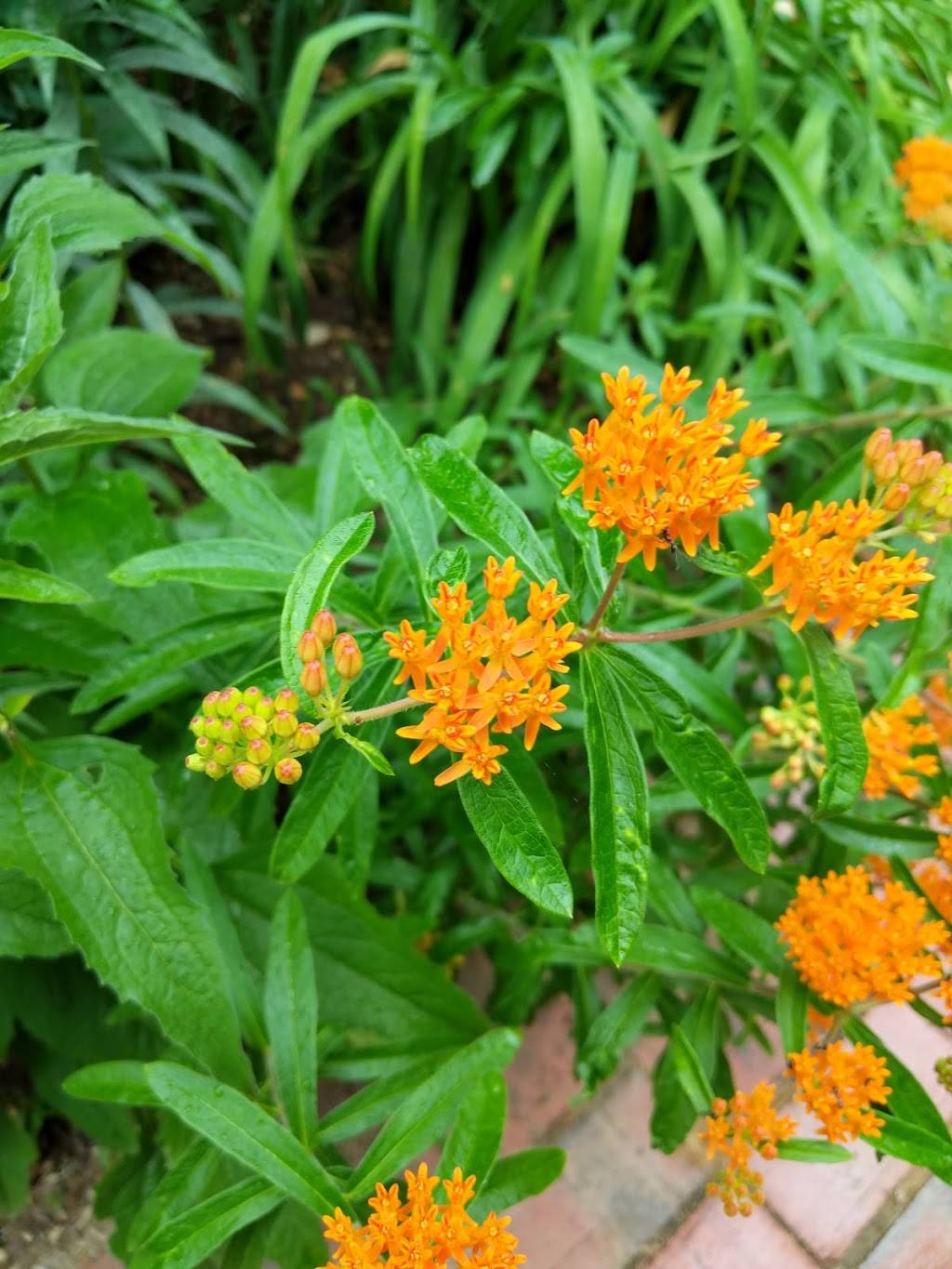 Lafayette Inn & Restaurant | restaurant | 146 Main St, Stanardsville, VA 22973, USA | 4349856345 OR +1 434-985-6345