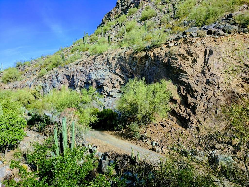 Phoenician Golf Club | restaurant | 6000 E Camelback Rd, Scottsdale, AZ 85251, USA | 4804232449 OR +1 480-423-2449