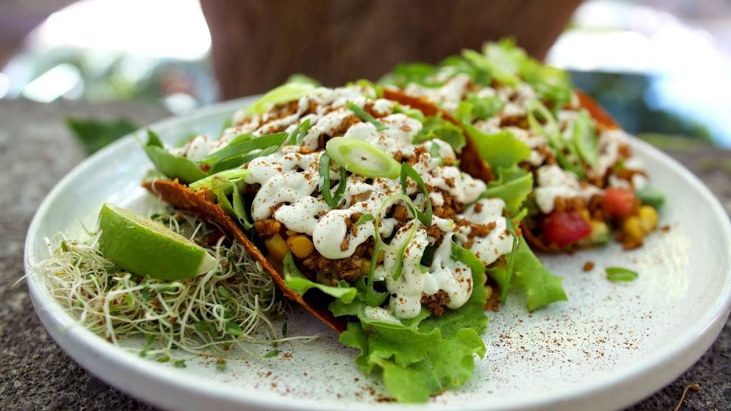 The Food Forest | restaurant | 135 Hunter St W, Peterborough, ON K9H 2K7, Canada | 7058741888 OR +1 705-874-1888