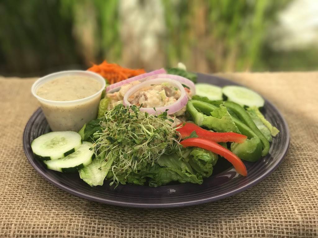 Rollin Oats Cafe | restaurant | 2842 Dr M.L.K. Jr St N, St. Petersburg, FL 33704, USA | 7278954910 OR +1 727-895-4910