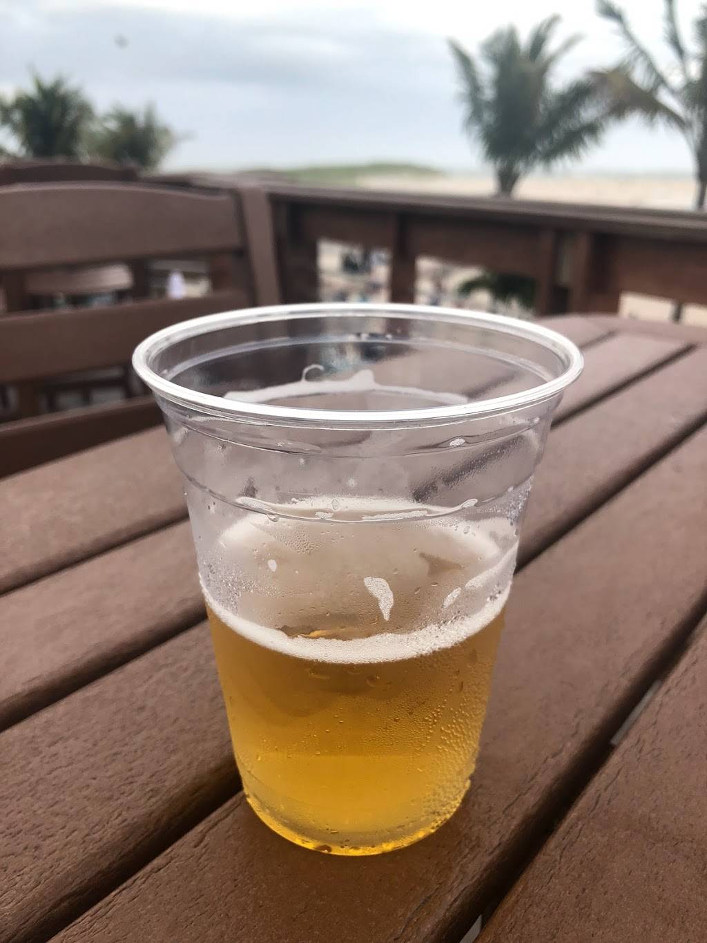 Salt Shack | restaurant | 100 Ocean Pkwy, Babylon, NY 11702, USA | 6314227222 OR +1 631-422-7222