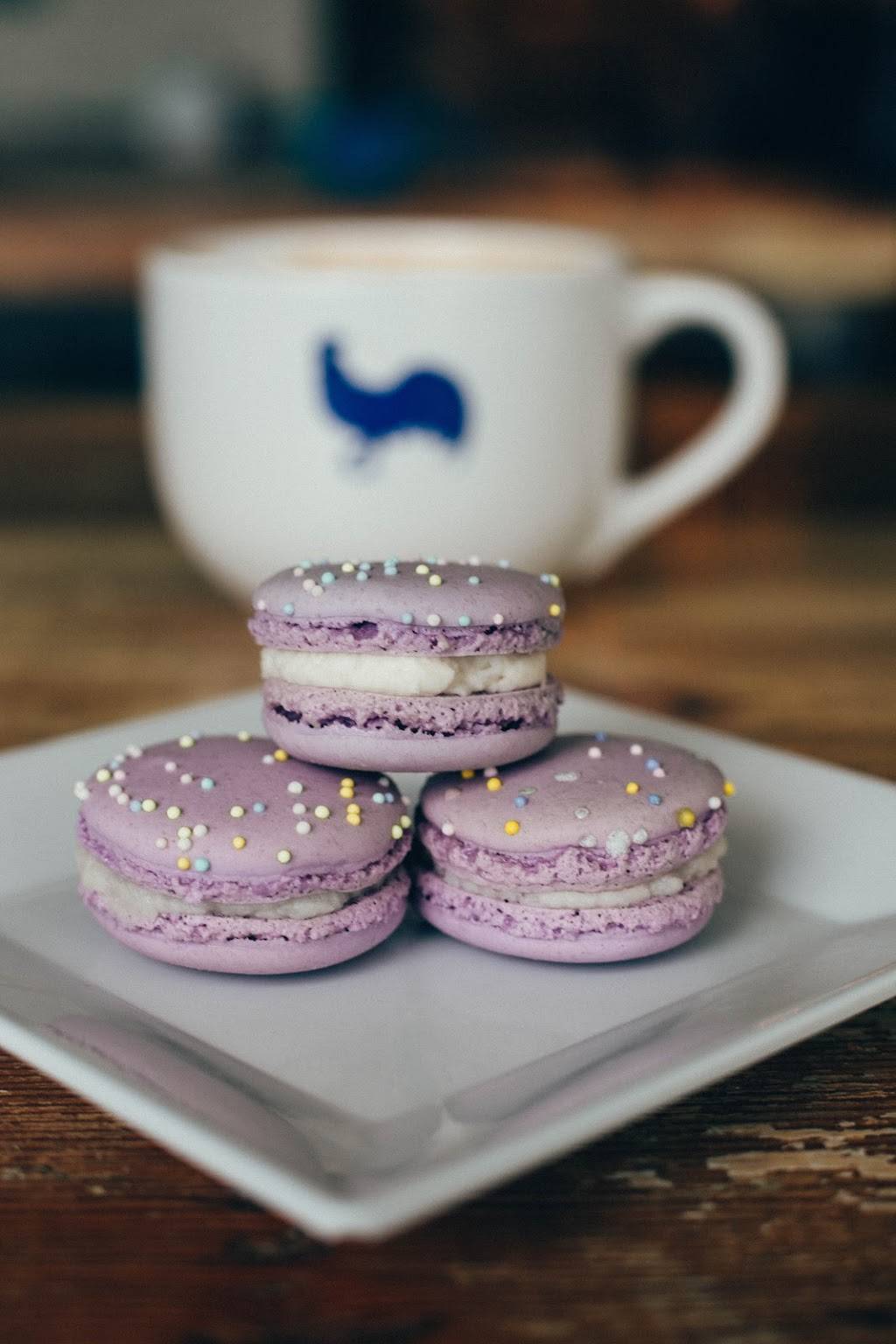 Village Bakery & Cafe | cafe | 145 Culver Rd, Rochester, NY 14620, USA | 5854812884 OR +1 585-481-2884