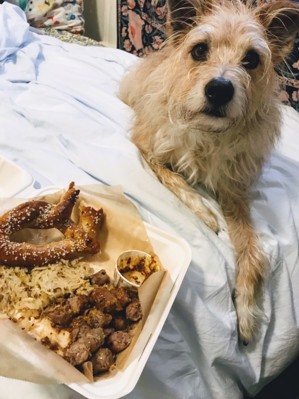 Berliner Berliner | restaurant | 545 Haight St, San Francisco, CA 94117, USA | 4157951457 OR +1 415-795-1457