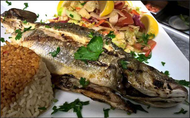 Koy Turkish Grill | restaurant | 280 U.S. 9, Morganville, NJ 07751, USA | 7327923659 OR +1 732-792-3659