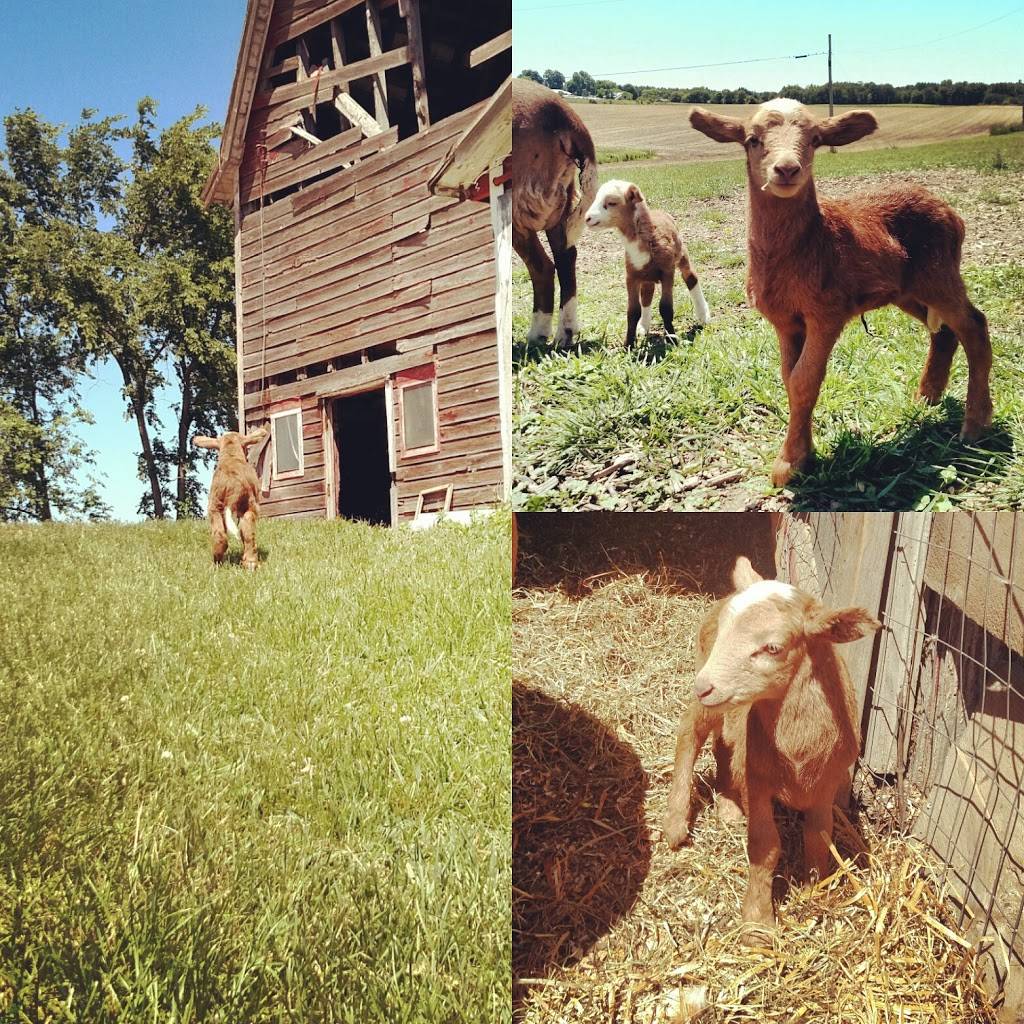 Gorskys Farm Market | meal delivery | 84 Turner Rd, Stillwater, NY 12170, USA | 5185848696 OR +1 518-584-8696